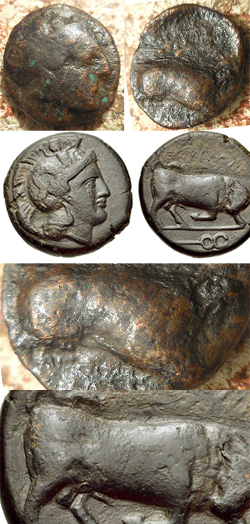 No-ID-On-This-Very-Thick-24.5mm,-10.50-G-Owl?-With-Apollo-Or-Even-Tanit?